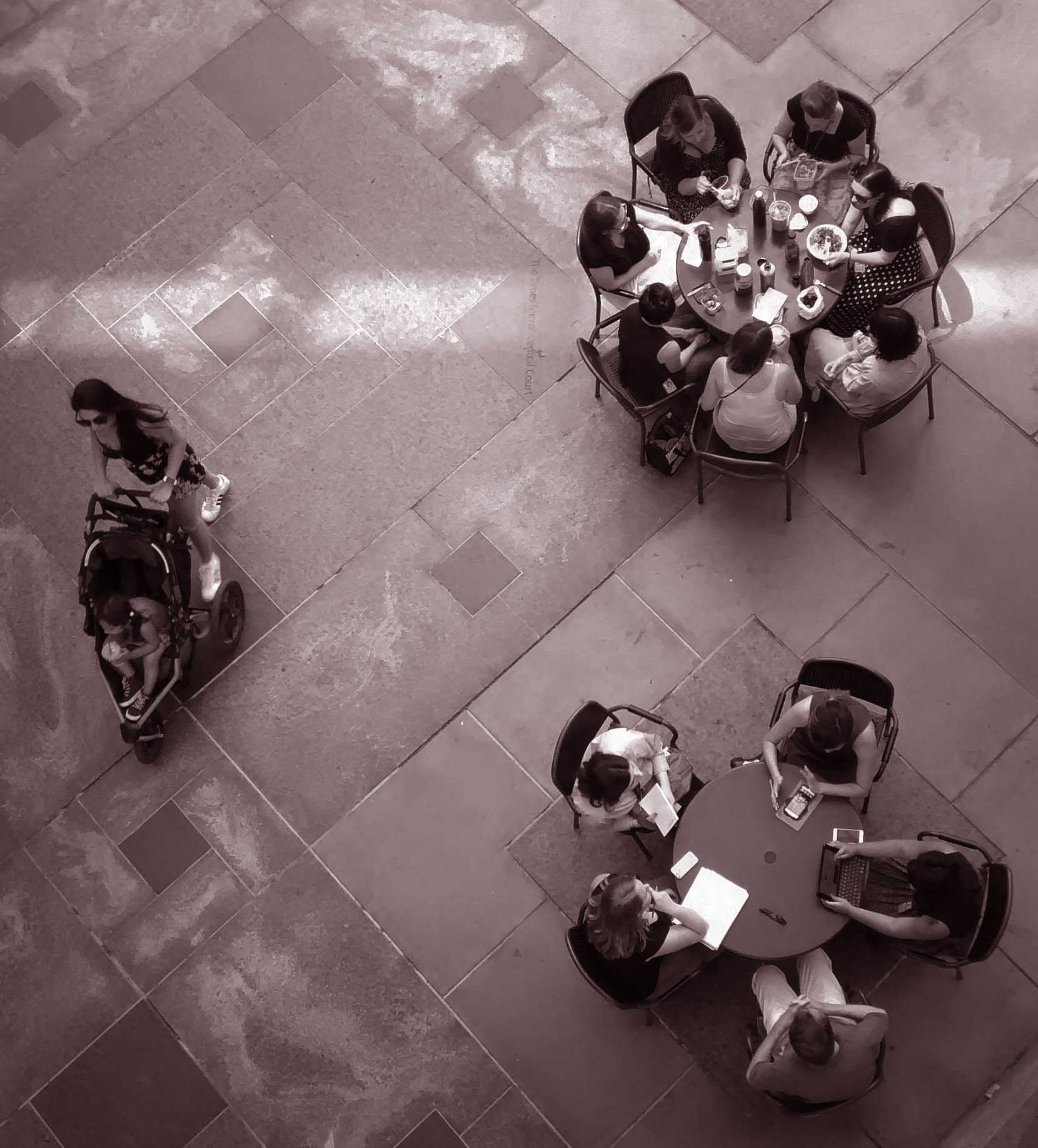 View from the Ivory Tower