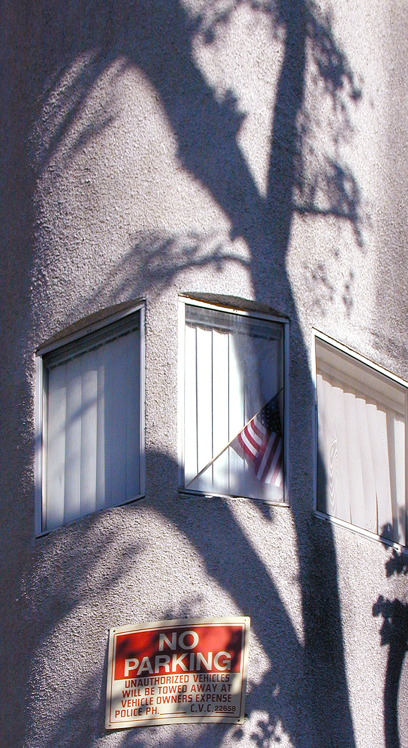 Flag, Tree, Shadow